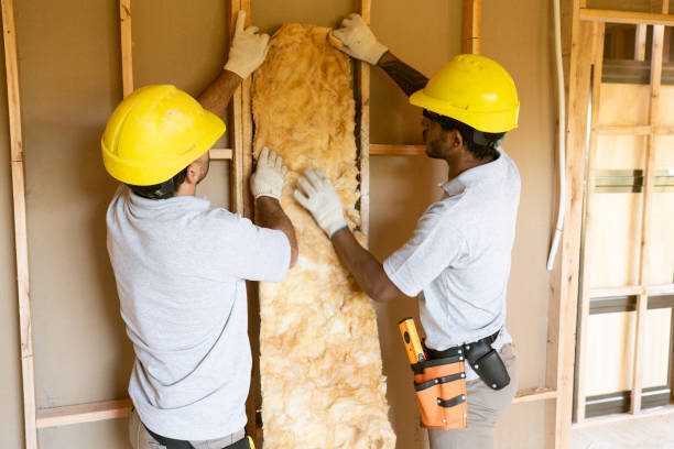 Best Attic Insulation Installation  in Flora, IL